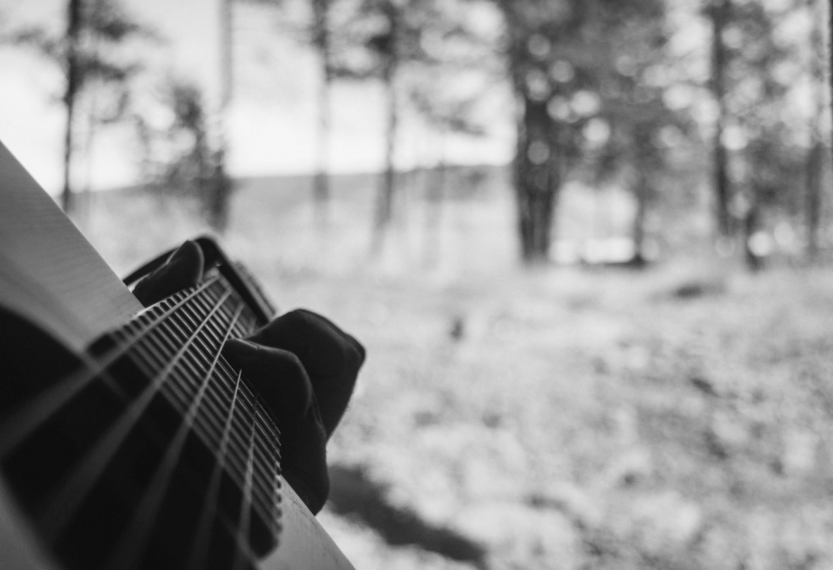 picture of a guitar with fingers playing on the strings