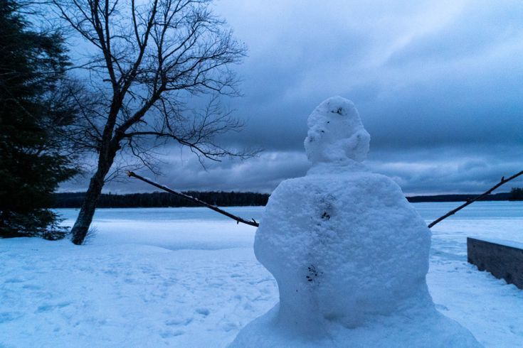 picture of a snowman out in the snow with a tree